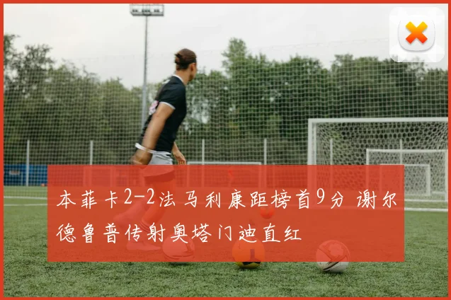 本菲卡2-2法马利康距榜首9分 谢尔德鲁普传射奥塔门迪直红